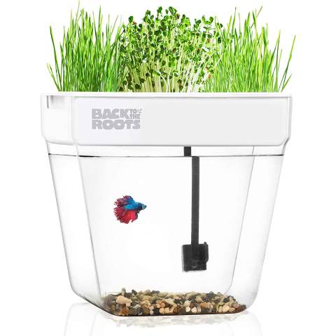 Back To The Roots Indoor Aquaponic Fish Tank