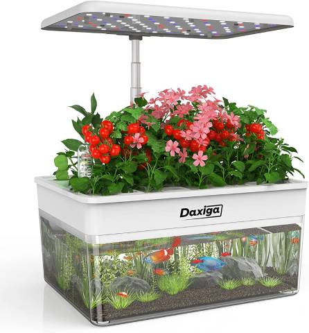 Daxiga Hydroponics Growing System