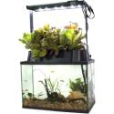 ECO-Cycle Indoor Garden System