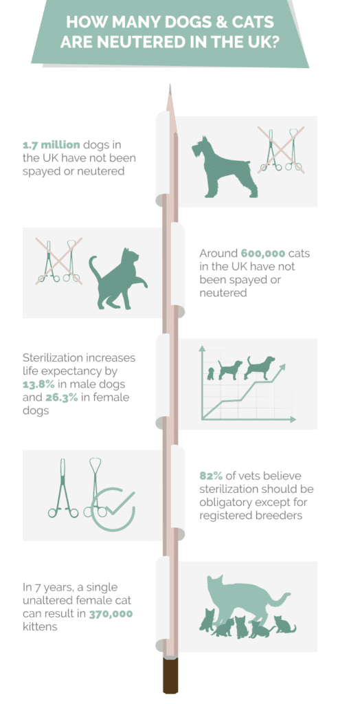 Photo inspiration: How Many Dogs Cats Are Neutered In The Uk 14 Photo Inspiration