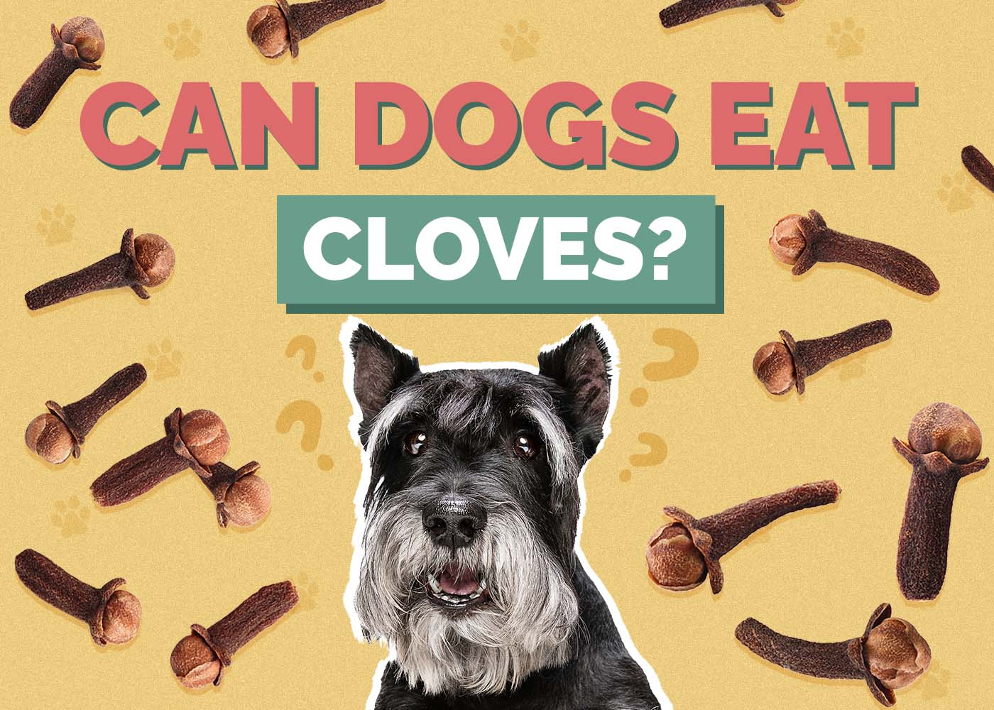 Hepper_Can Dogs Eat_Cloves