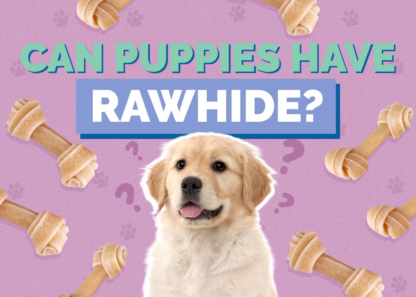 Hepper_Can Puppies Have_Rawhide