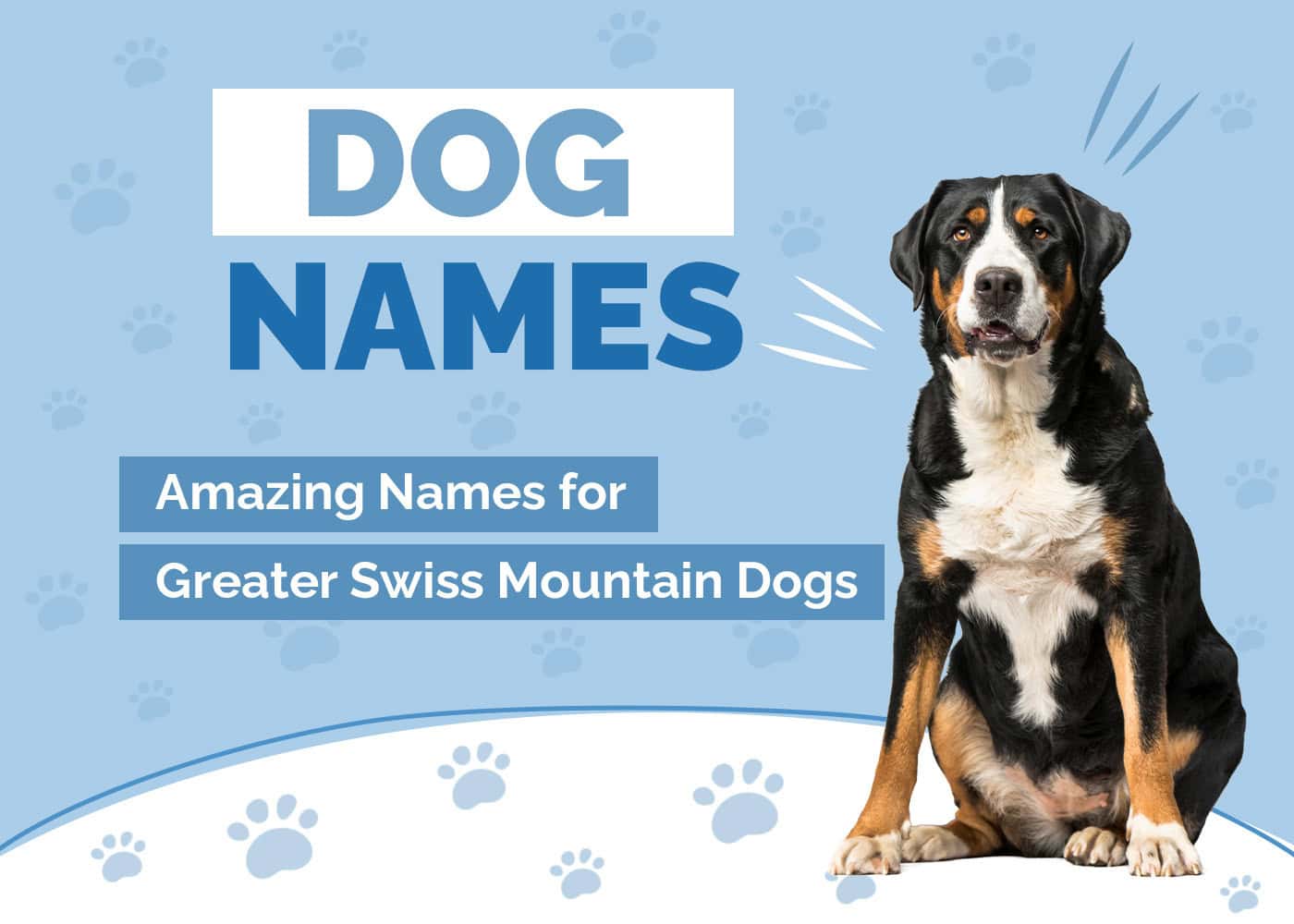 Names for Greater Swiss Mountain Dogs