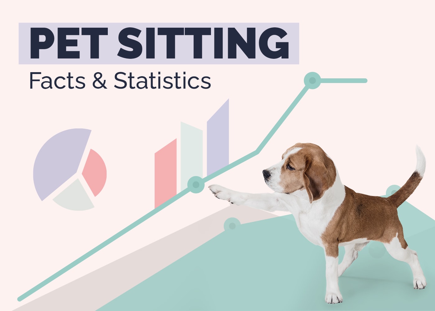 Pet Sitting Statistics