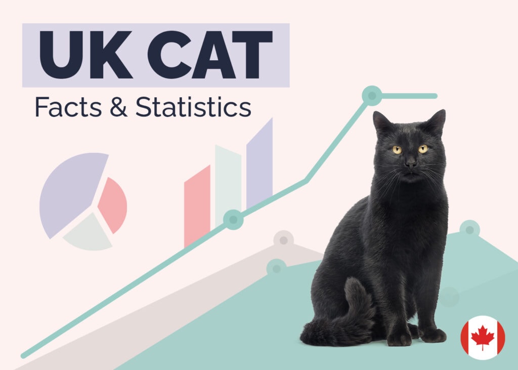 UK Cat Facts & Statistics