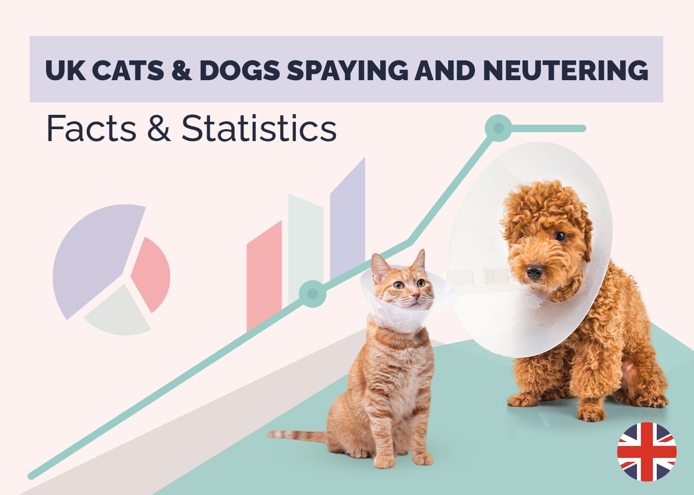 UK Cats & Dogs Spaying and Neutering Facts & Statistics