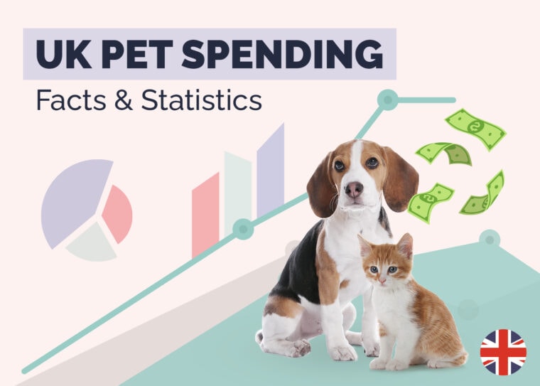 19 Incredible UK Pet Spending Statistics & Facts: Updated in 2026 ...