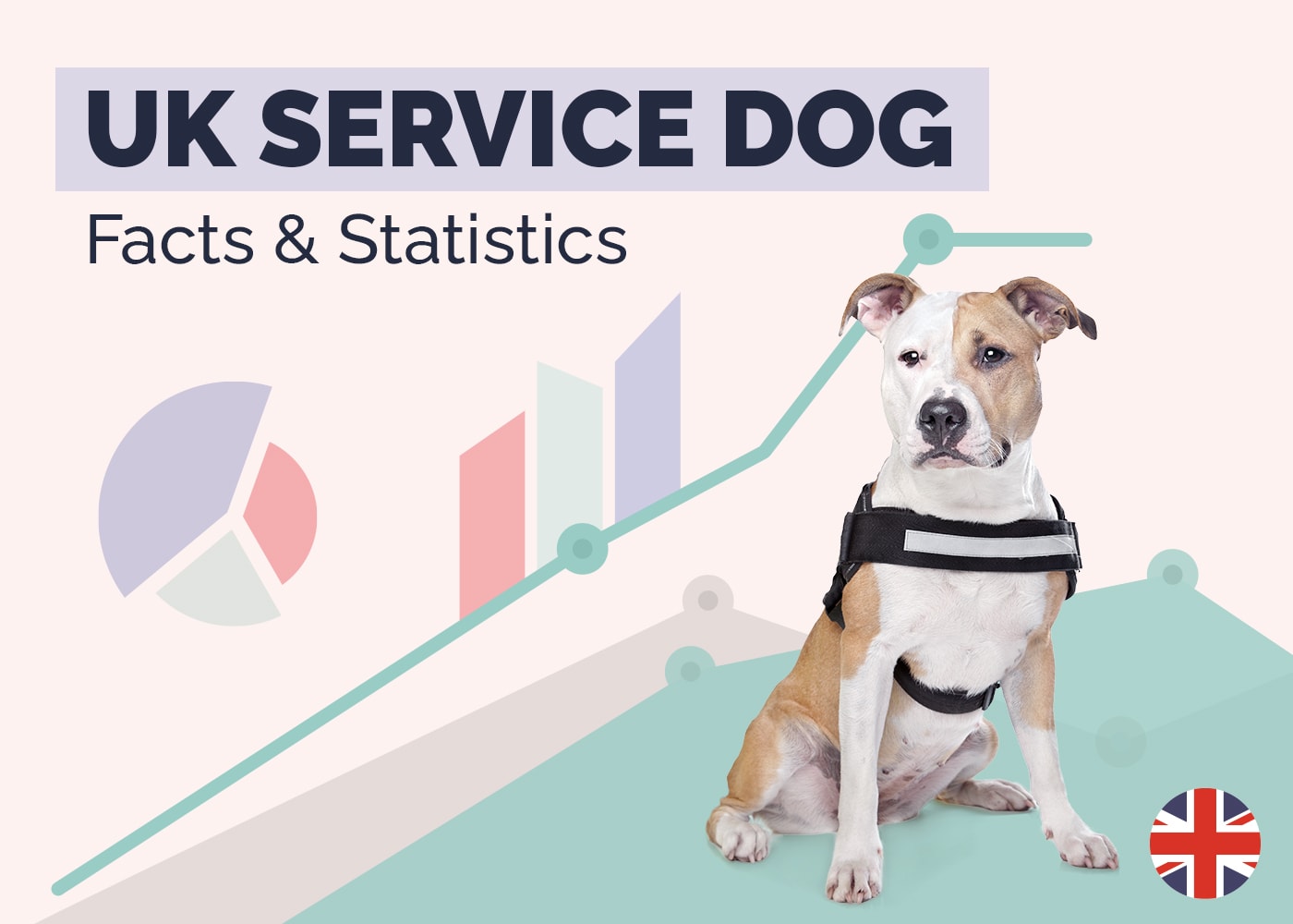 UK Service Dog Facts & Statistics
