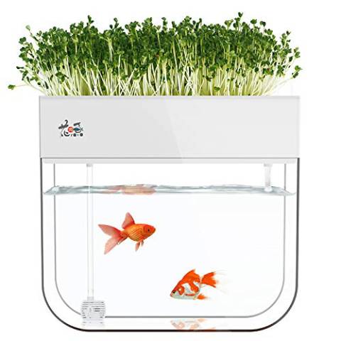  Huamuyu Hydroponic Garden Aquaponics Fish Tank