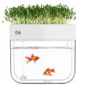 Huamuyu Hydroponic Fish Tank