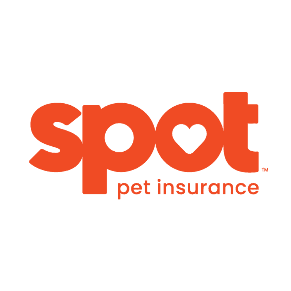 Spot
