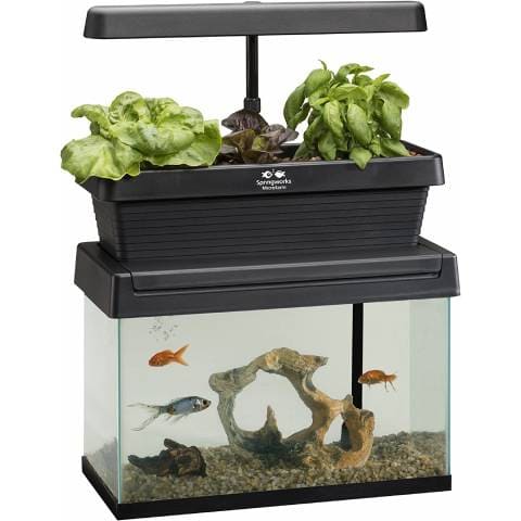 Springworks Microfarm Aquaponics Garden Fish Tank