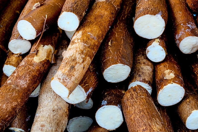 a stack of cassava
