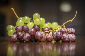 Can Guinea Pigs Eat Grapes? Vet-Approved Facts & FAQ Hepper Pet Resources