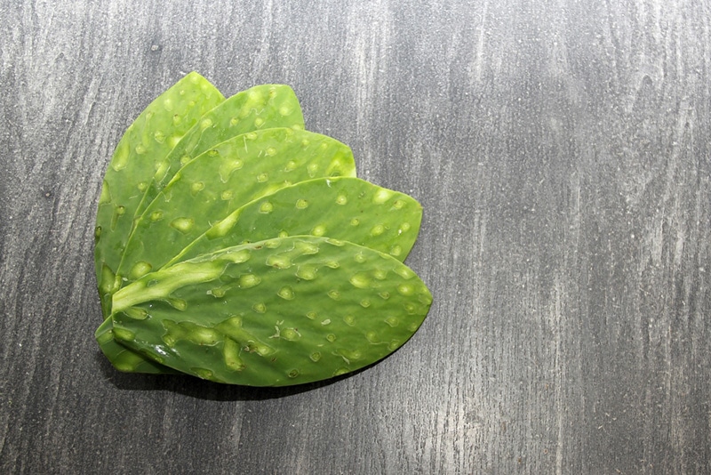 nopales on wooden table