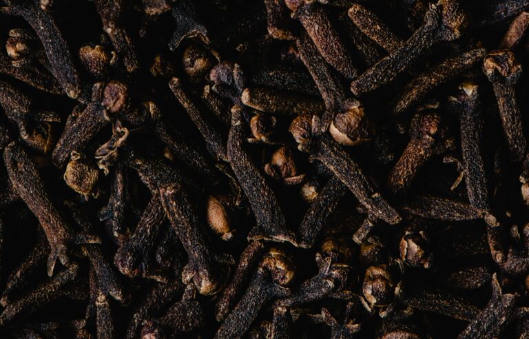 Image showcasing Can Dogs Eat Cloves? Vet-Reviewed Safety Facts | Hepper Pet Resources