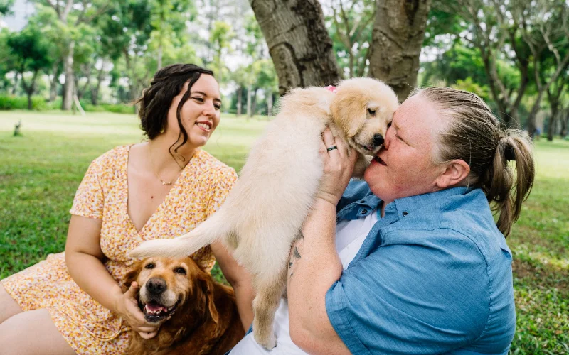 two people with two golden retriever dogs