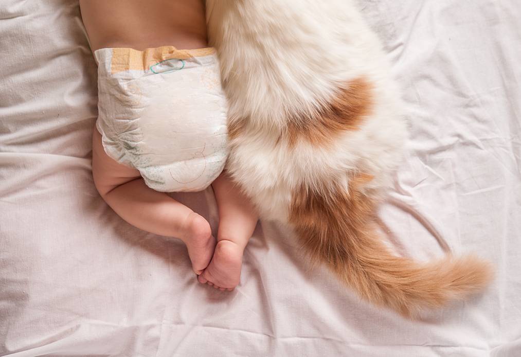 Cat and baby
