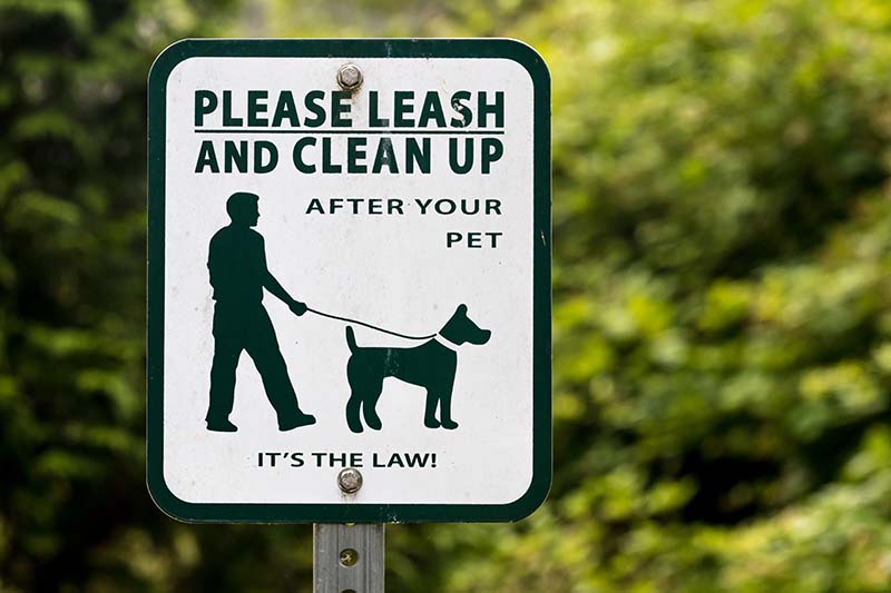 Dog leash and scoop sign with green tree in the background