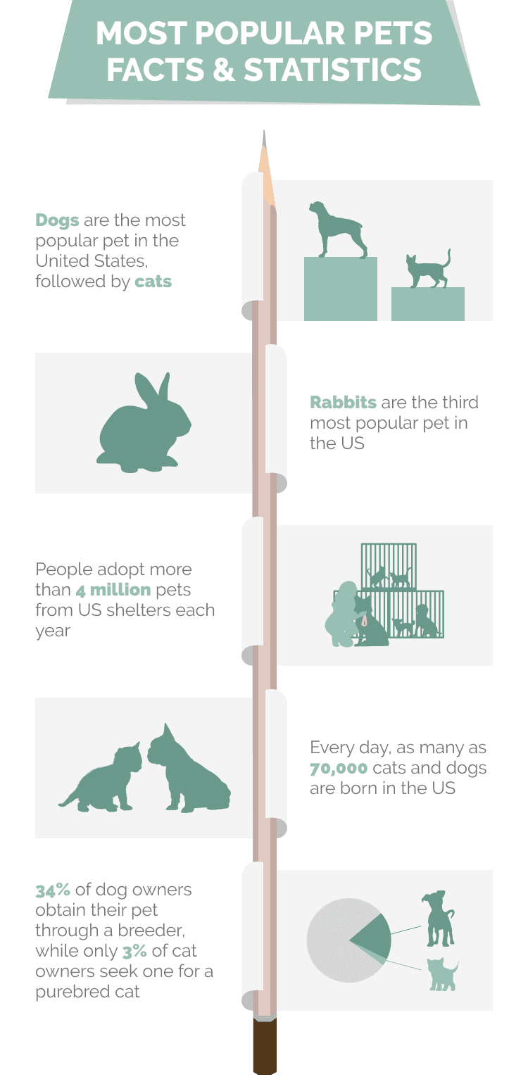 MOST_POPULAR_PETS_FACTS_&_STATISTICS