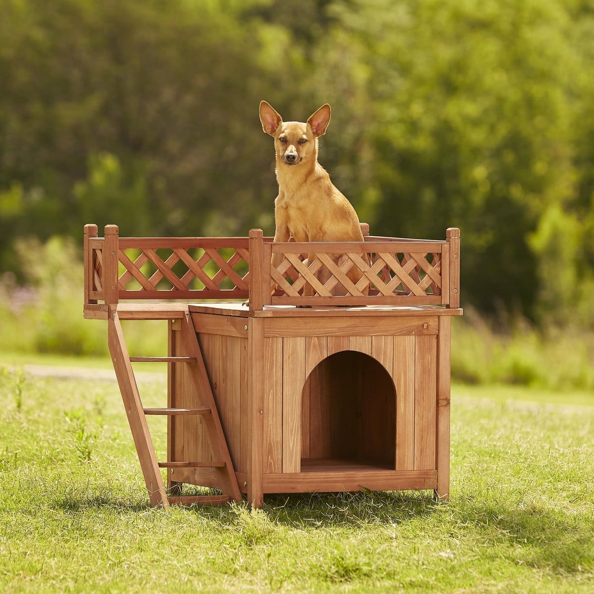 Merry Products Room With a View Wood Dog & Cat House