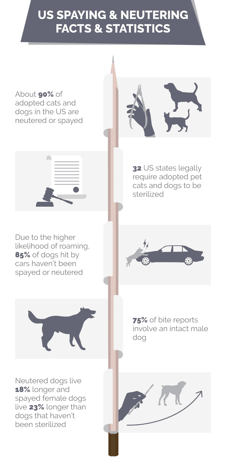 US_SPAYING_&_NEUTERING_FACTS_&_STATISTICS