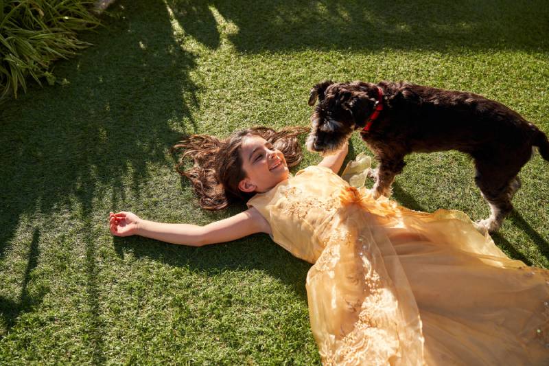 cheerful girl in yellow dress lying on lawn and playing with cute miniature schnauzer dog on sunny day
