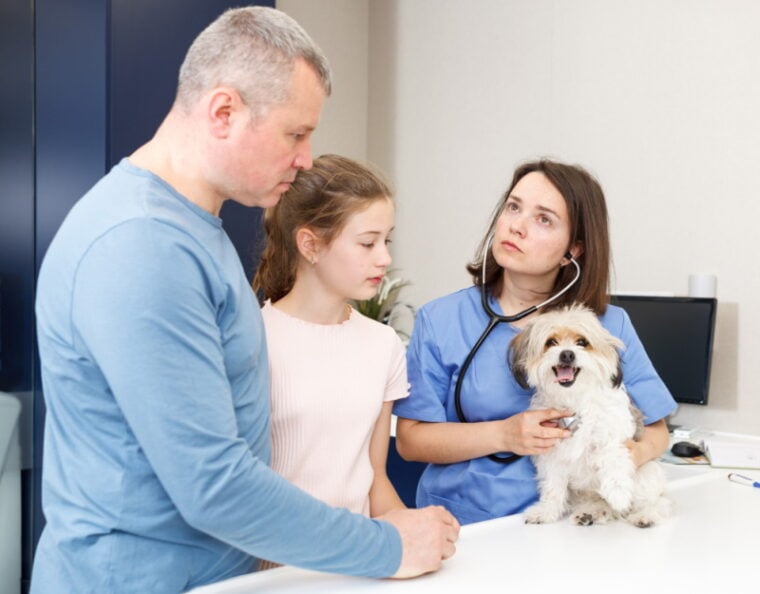 Foreign Body Ingestion in Dogs: Signs & Vet-Approved Next Steps ...