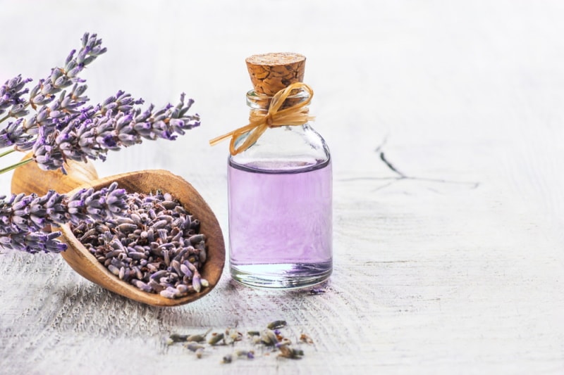 lavender essential oil