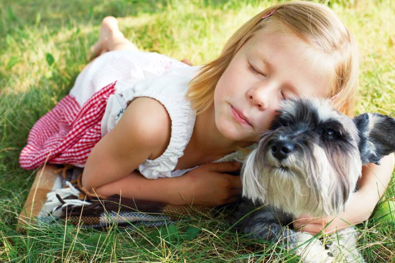 little girl hugging her little miniature schnauzer dog