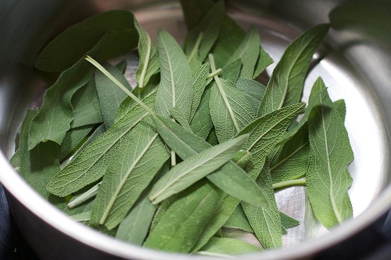 sage leaves