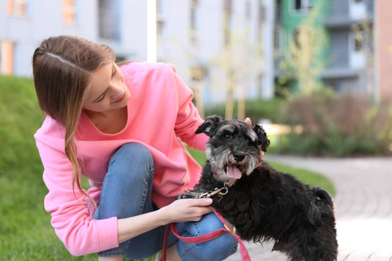 woman with miniature schnauzer dog outdoors