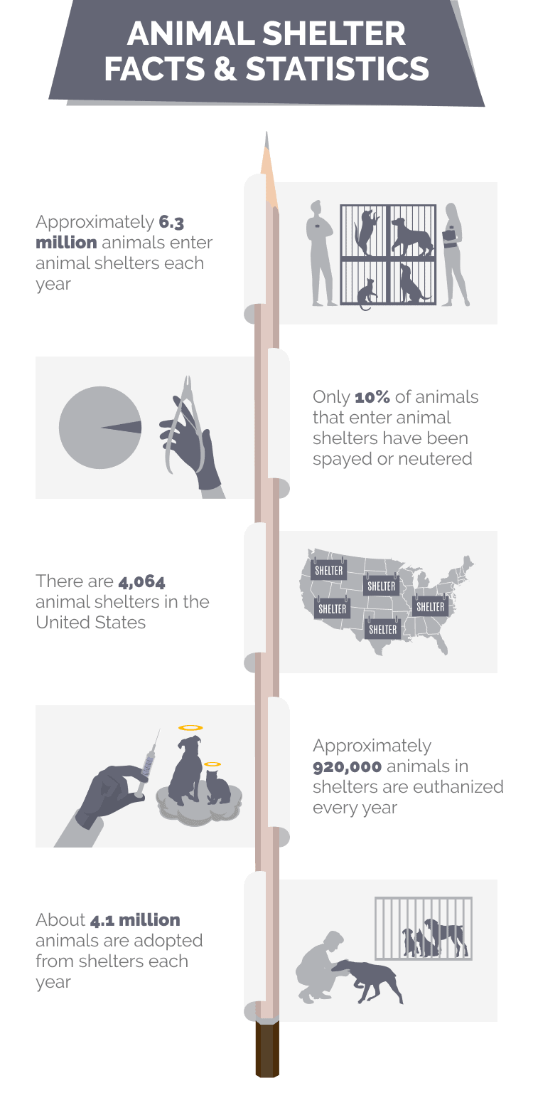 ANIMAL_SHELTER_FACTS_&_STATISTICS
