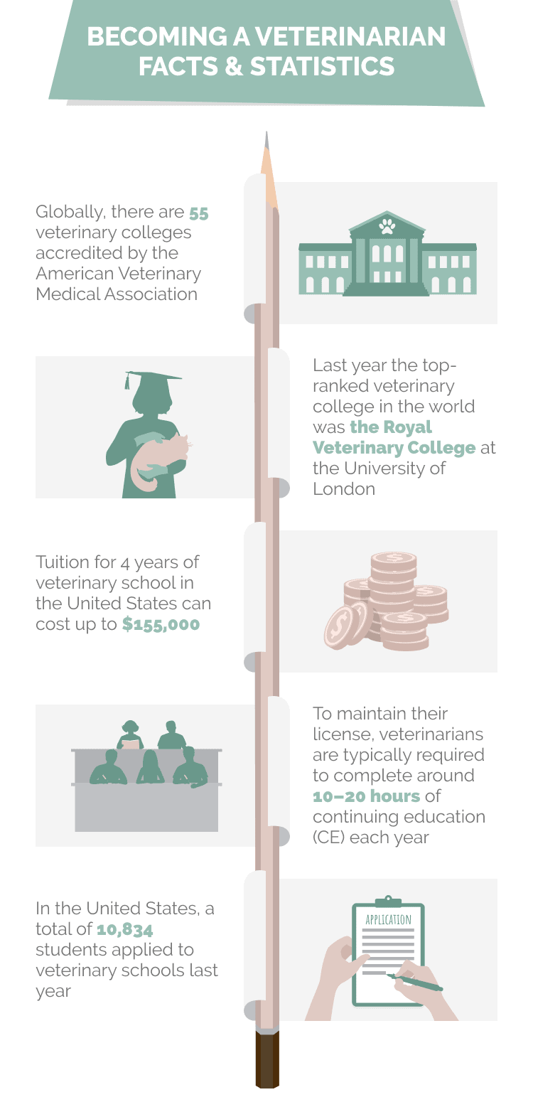 BECOMING_A_VETERINARIAN_FACTS_&_STATISTICS
