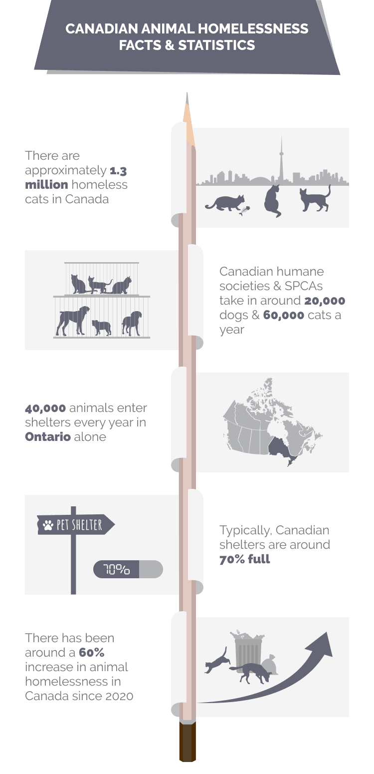CANADIAN_ANIMAL_HOMELESSNESS_FACTS_&_STATISTICS