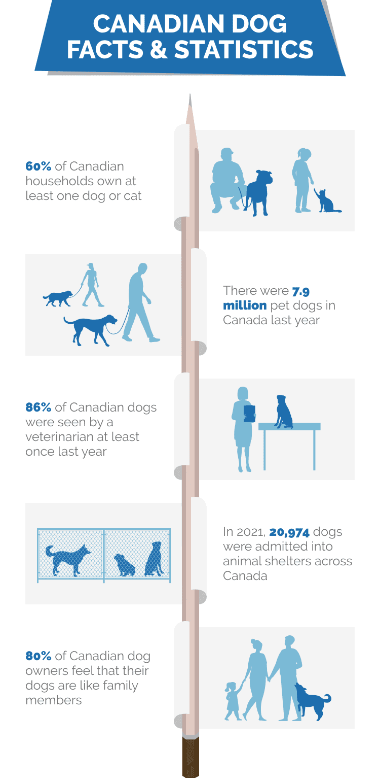 CANADIAN_DOG_FACTS_&_STATISTICS