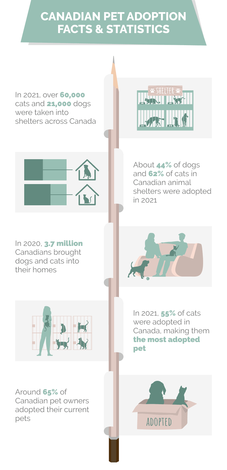CANADIAN_PET_ADOPTION_FACTS_&_STATISTICS