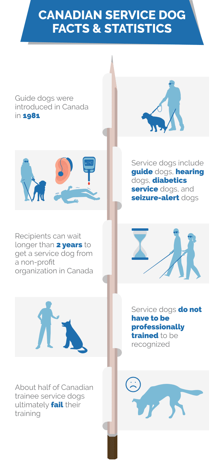 CANADIAN_SERVICE_DOG_FACTS_&_STATISTICS