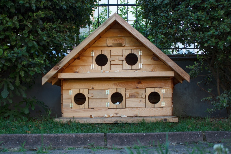 Cat shelter inside a public park