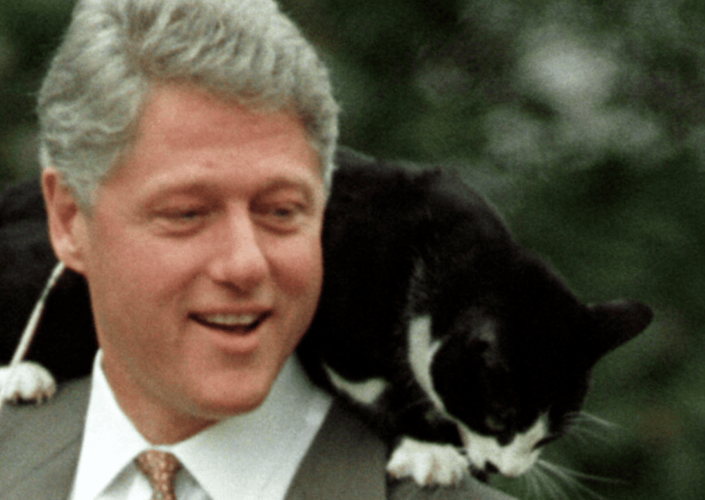 Clinton with Socks