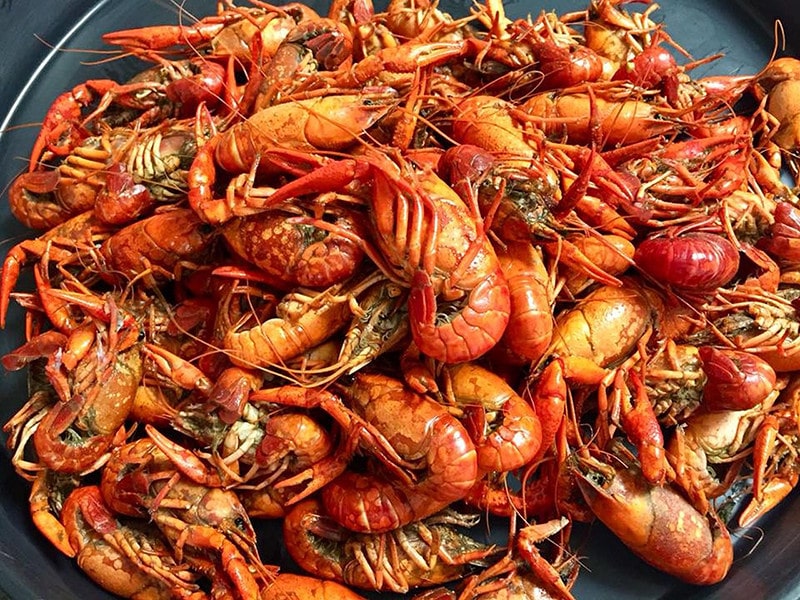 Crawfish