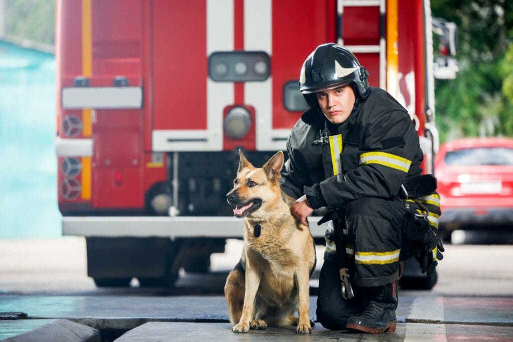 Dog Fire