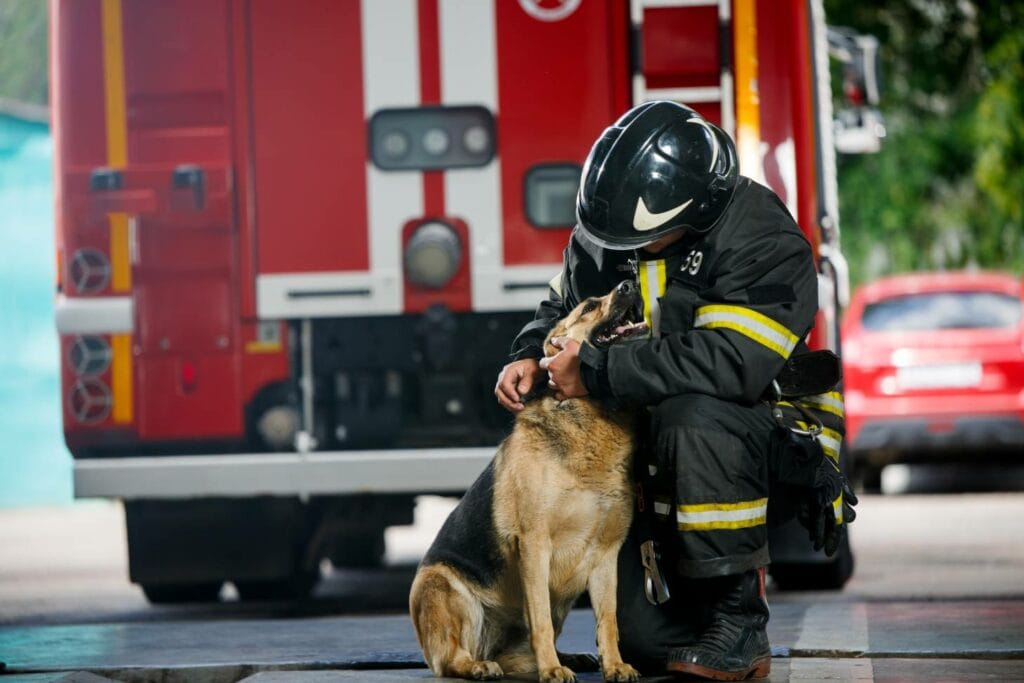 Dog Fire