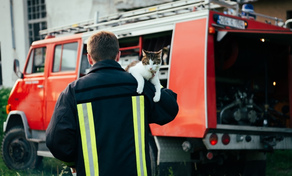 Fire Fighter carries a cat to their truck