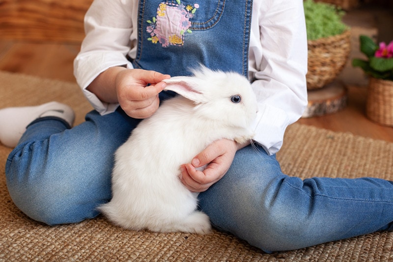 Girl Cuddling Rabbit