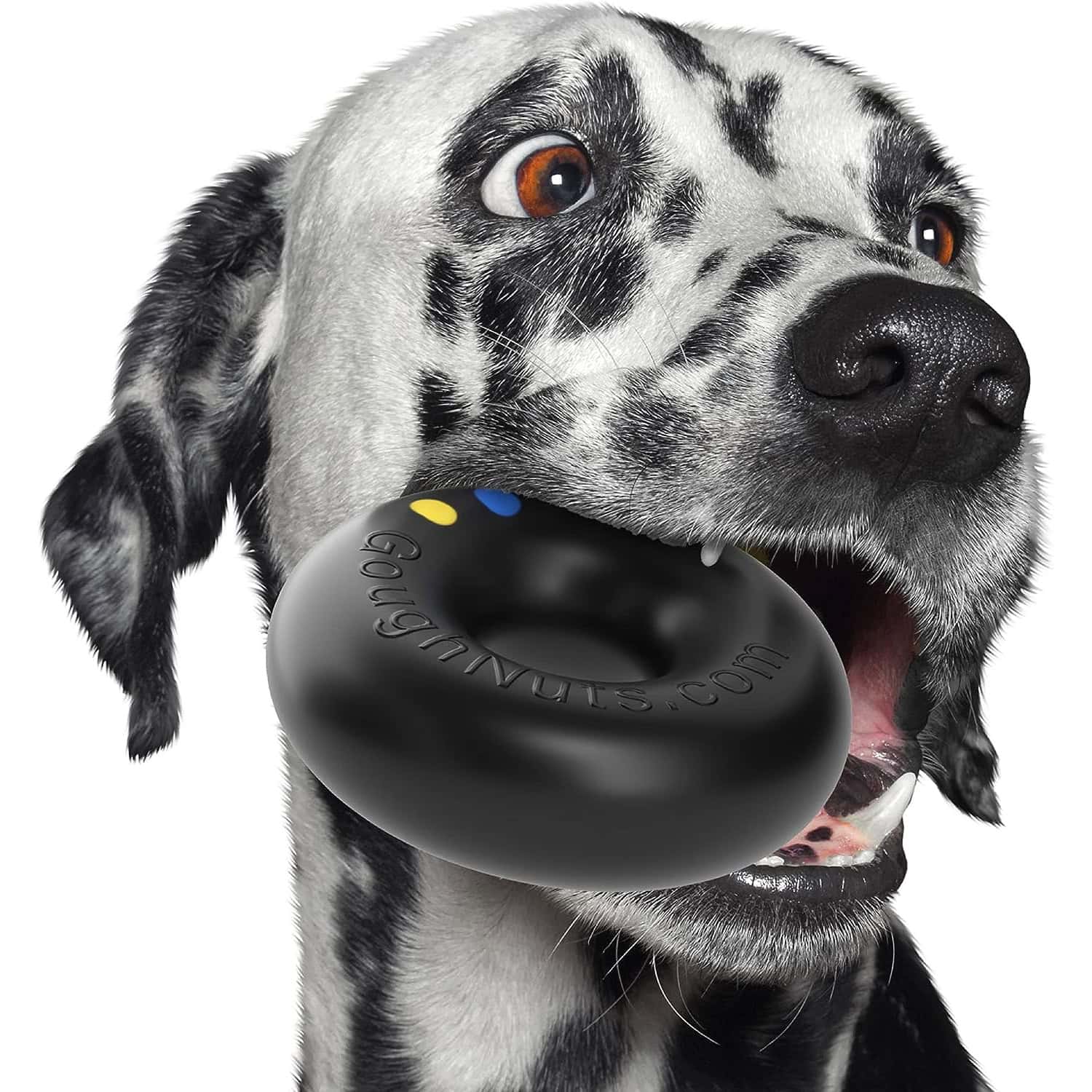 GoughNuts Dog Ring