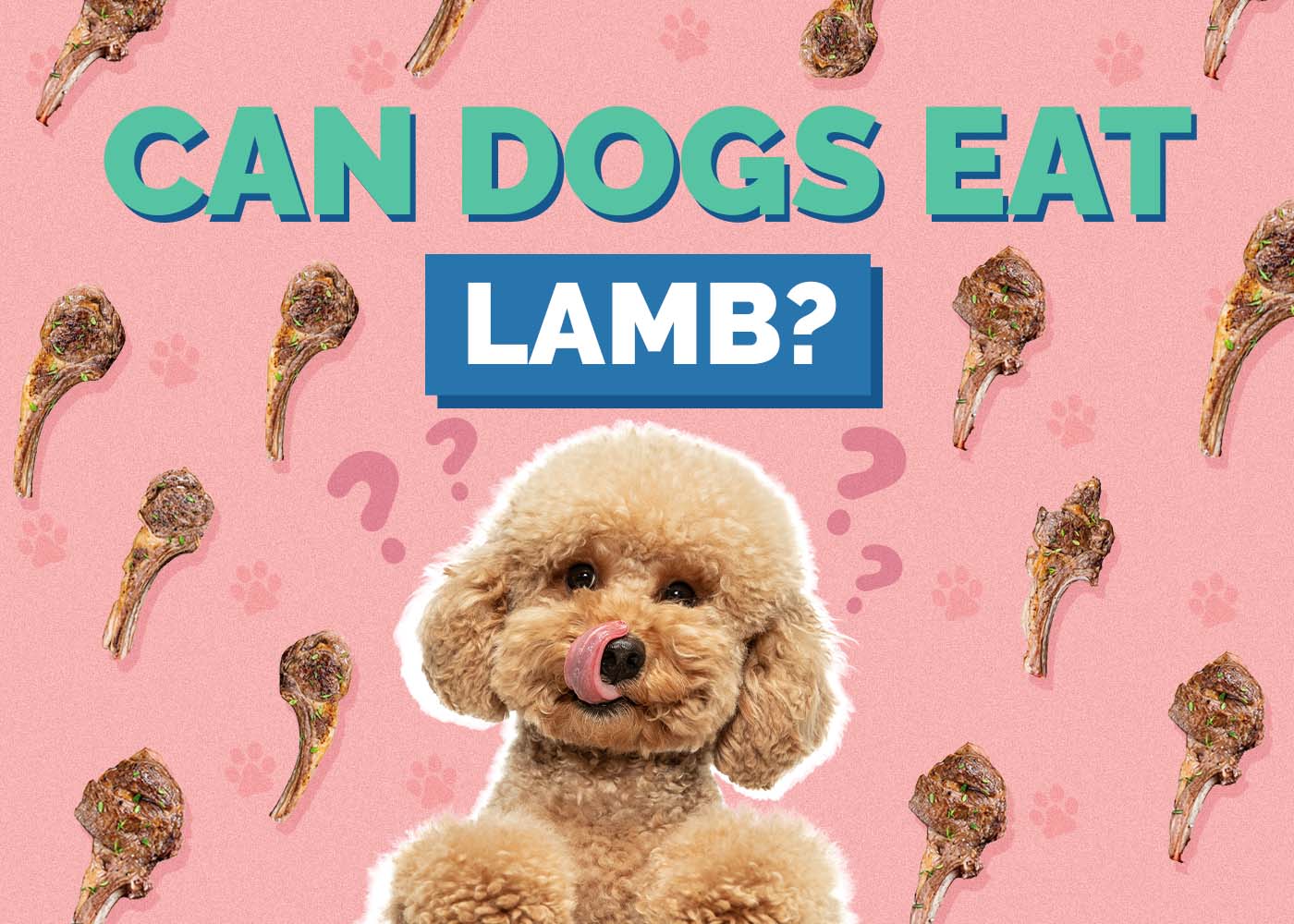 Hepper_Can Dogs Eat_Lamb