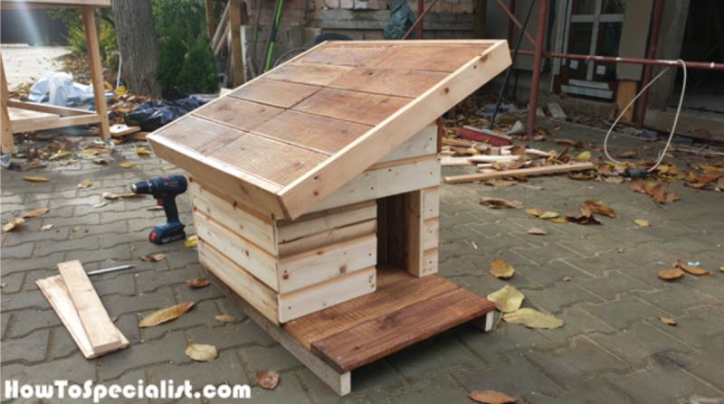 How to Build an Insulated Cat House