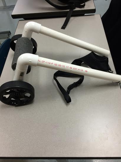 How to Make a Cat Wheelchair