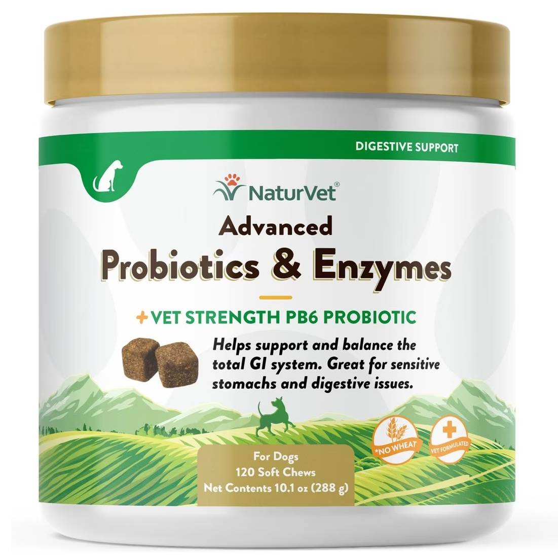 NaturVet Advanced Probiotics & Enzymes Plus Vet Strength PB6 Probiotic Soft Chews Digestive Supplement for Dogs